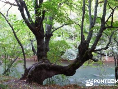 Cañones y nacimento del Ebro - Monte Hijedo;mapa pedriza;senderismo en la palma